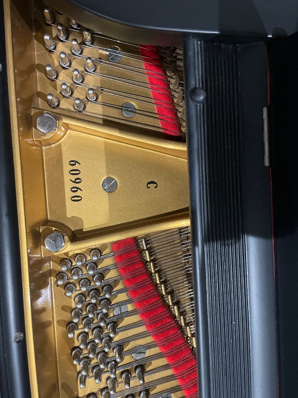 Additional image for Steinway C